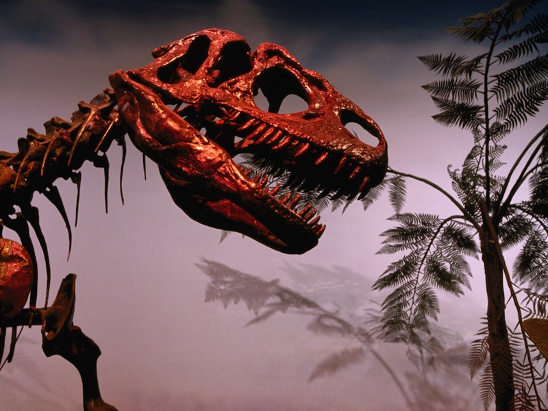 Royal Ontario Museum