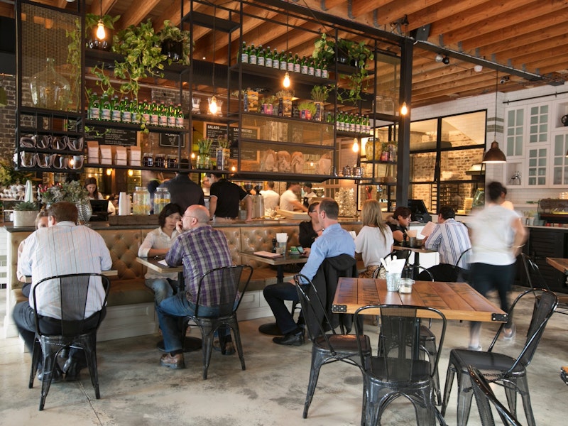 The Grounds of Alexandria